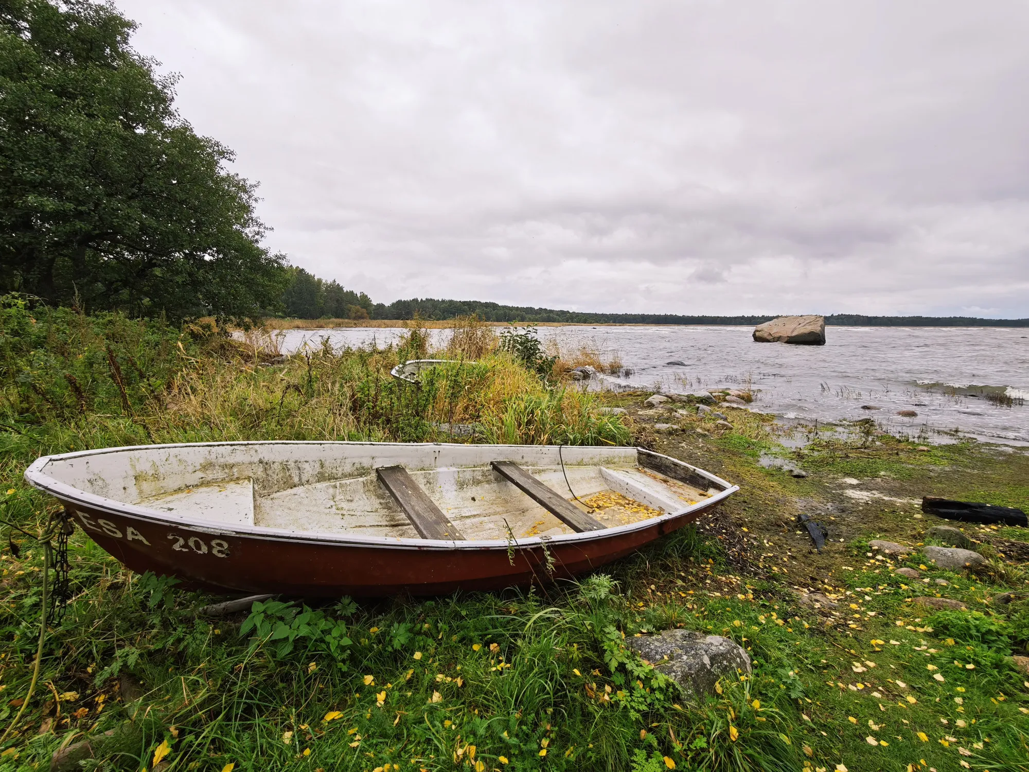 An old wooden rowing boat left in the grass on the shore near Altja, the Gulf of Finland grey behind it.