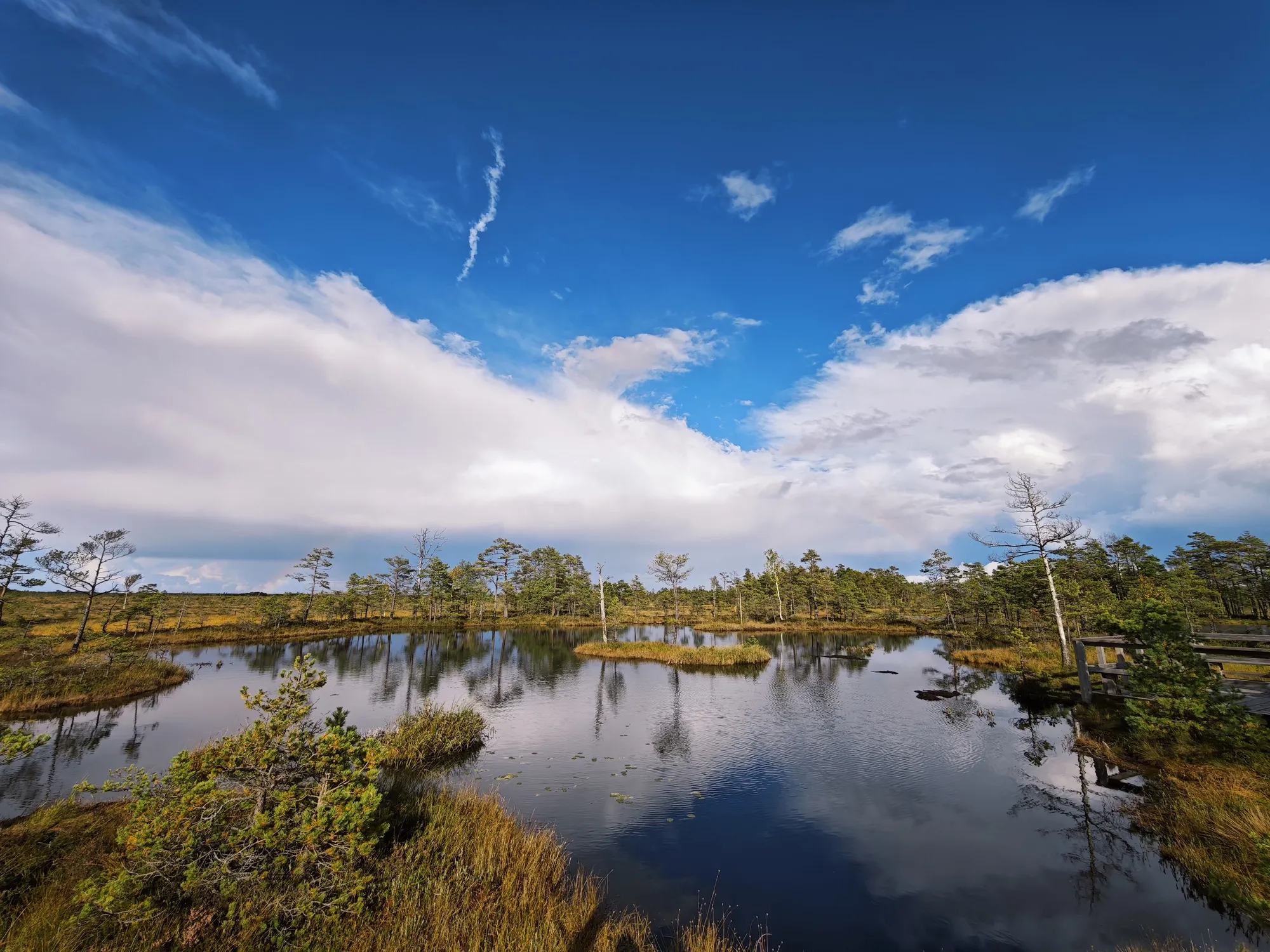A still pool in the Tolkuse bog reflecting a bright blue sky and white clouds, ringed with small pines.