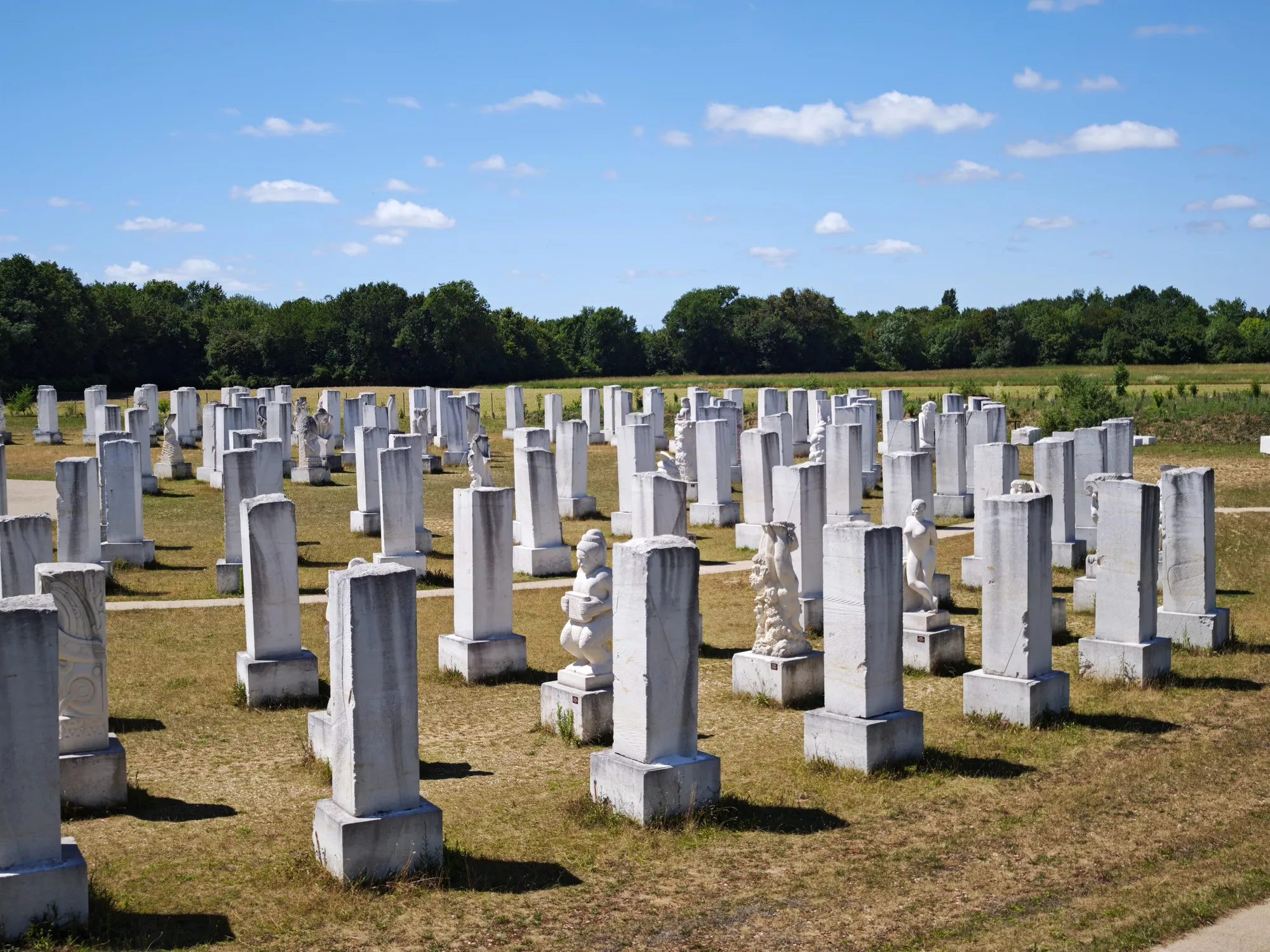 Carved limestone steles standing in rows across a meadow at the Galaxie des Pierres Levées near Plassay.